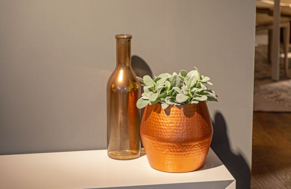Copper Water Bottle benefits