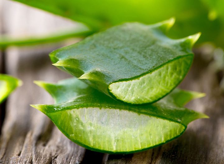 aloe vera for scalp acne hair loss aloe vera for scalp acne hair loss
