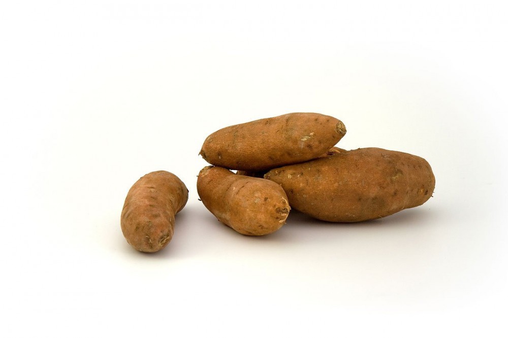 sweet potato for vegans