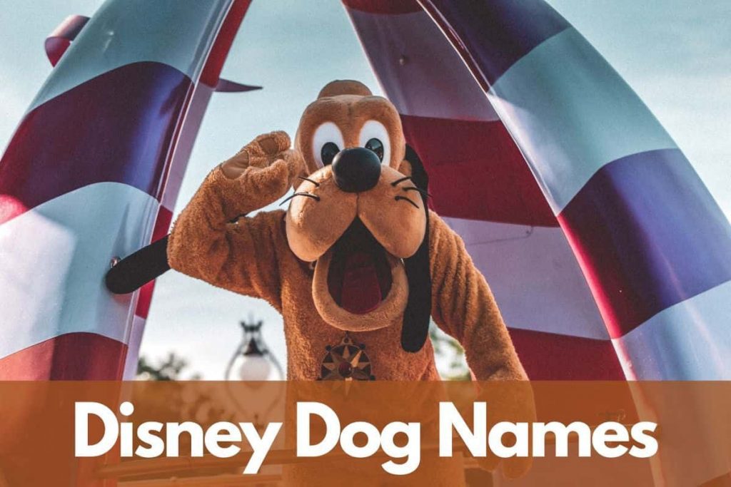 disney dog names
