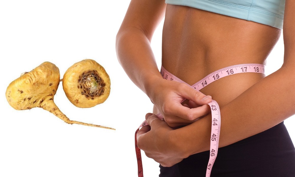 maca root for weight gain