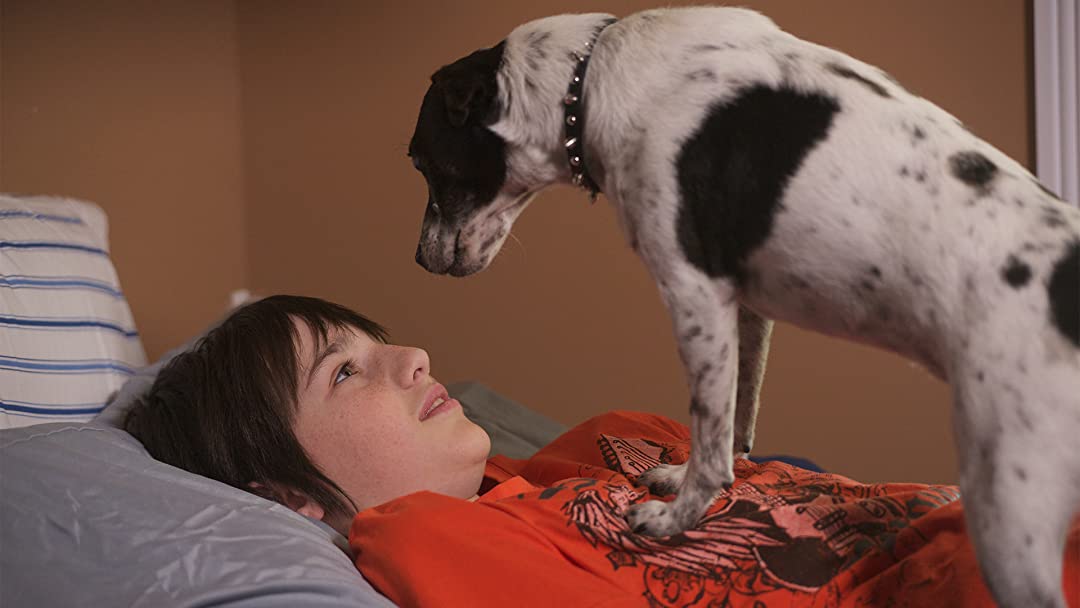 Dog Movies On Netflix