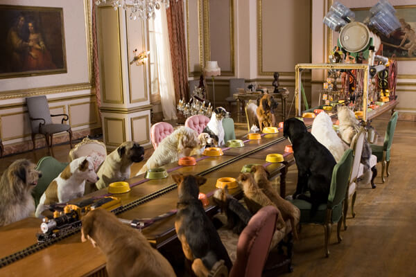 Dog Movies On Netflix