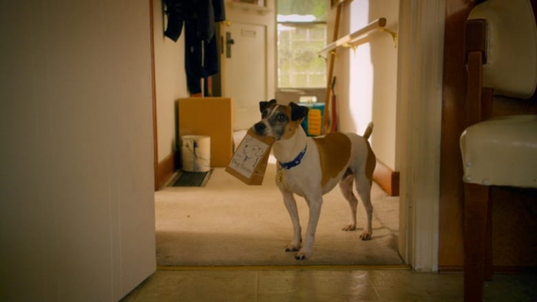 Dog Movies On Netflix