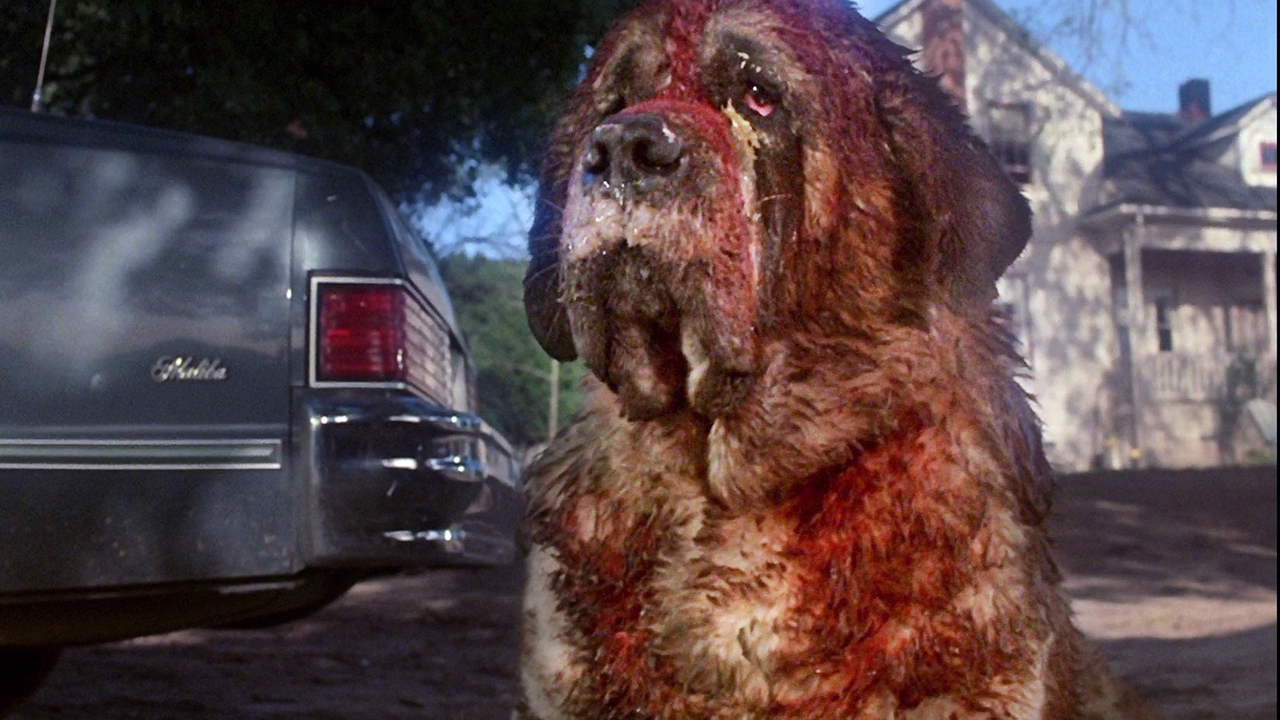 Dog Movies On Netflix