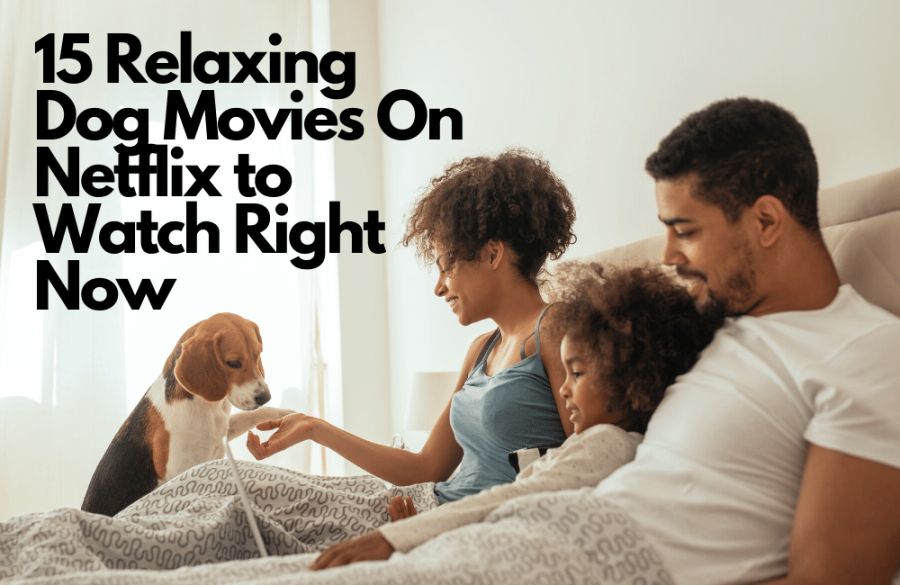 Dog Movies On Netflix
