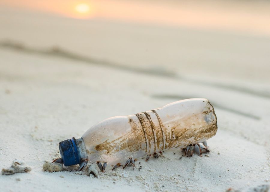 zero waste lifestyle