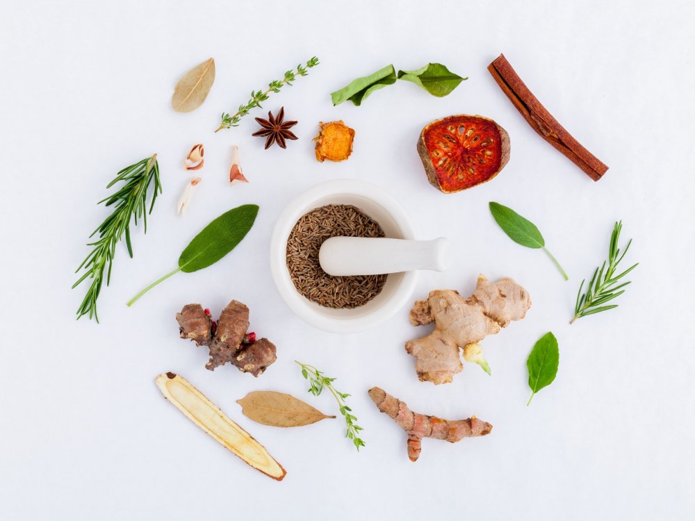 Best Herbs for Lung Healing