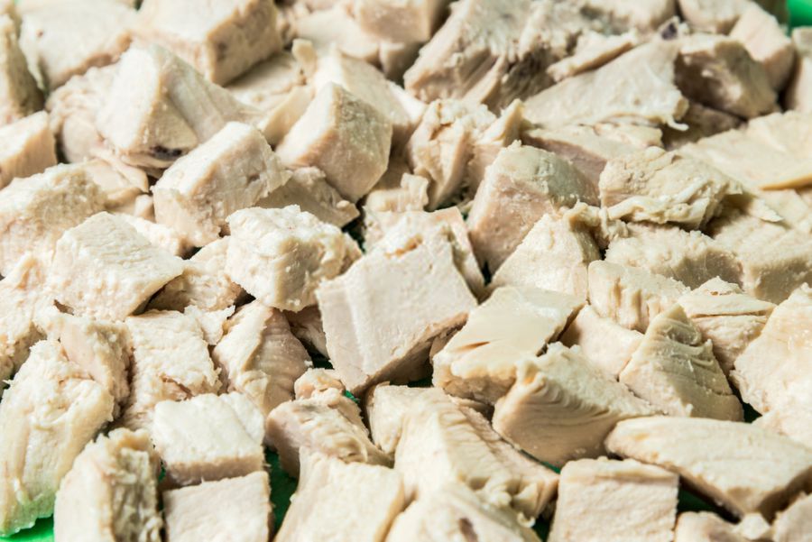 boiled chicken for dog