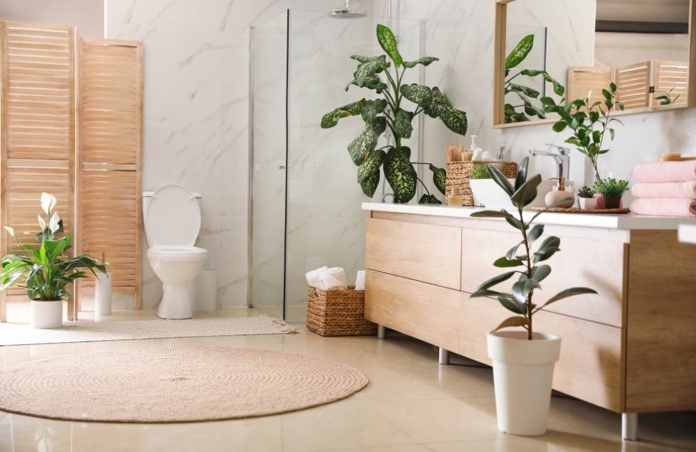 Houseplants For Bathroom