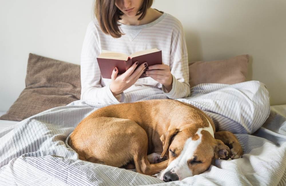 best dog training books for all time