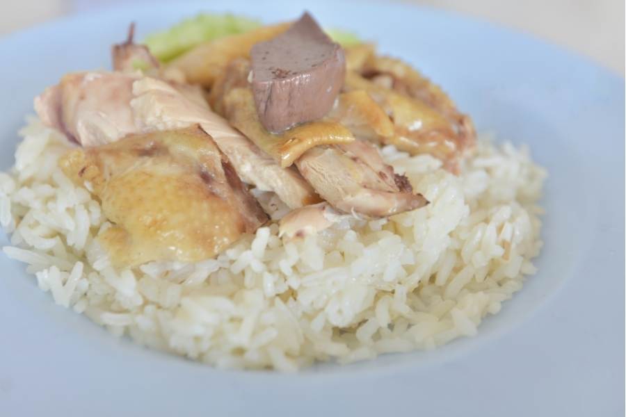 chicken rice for dogs