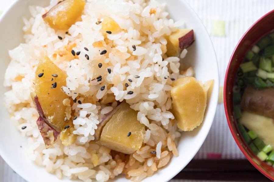 fish rice and sweet potato for dogs