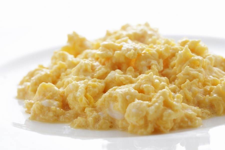 bland diet for dogs
