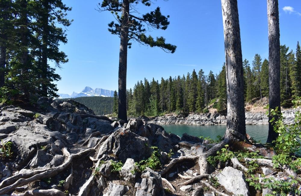 Banff National Park images