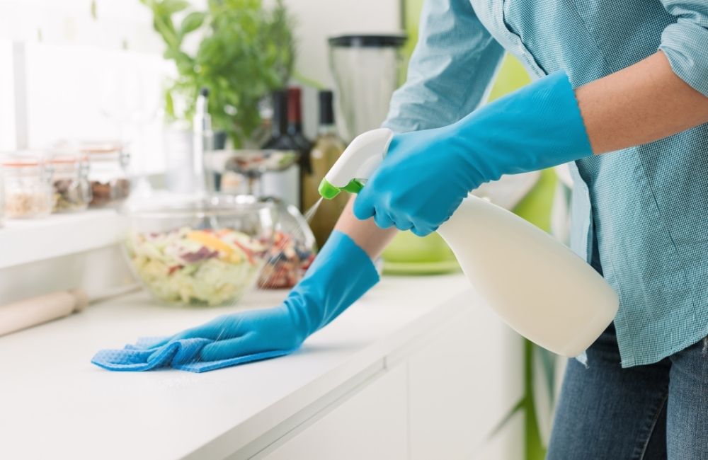 How to Clean Your Kitchen After Pest Control