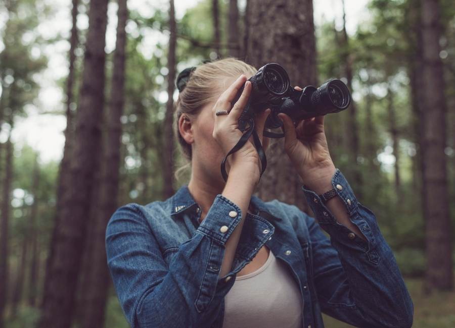 connect with nature and observe