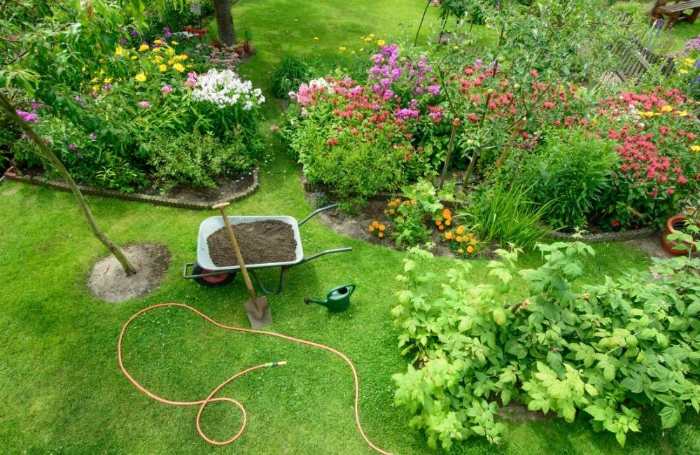 Summer Flowering Plants That Will Make Your Garden Pop