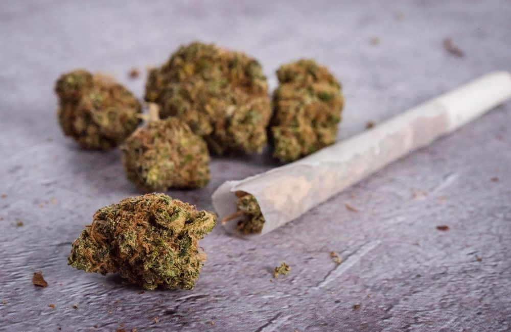 The Differences Between CBD, THC, and HHC