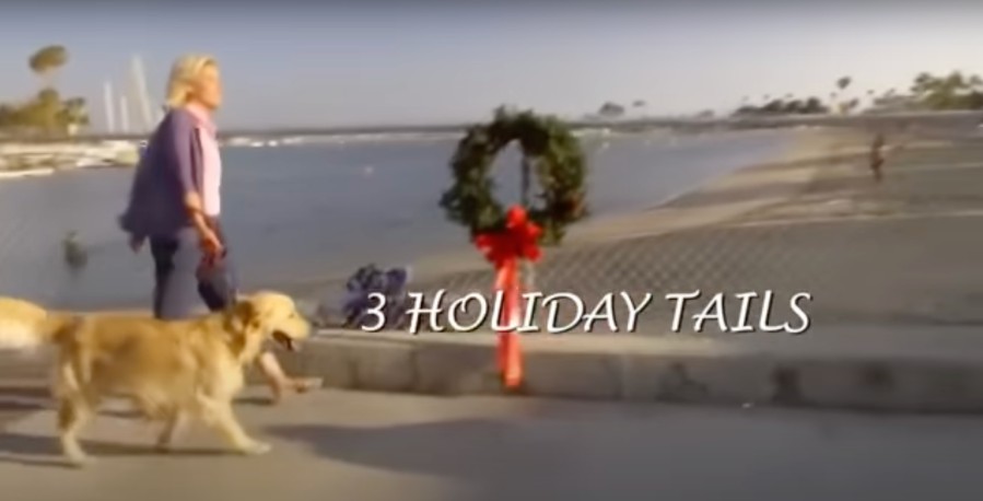dog christmas movies