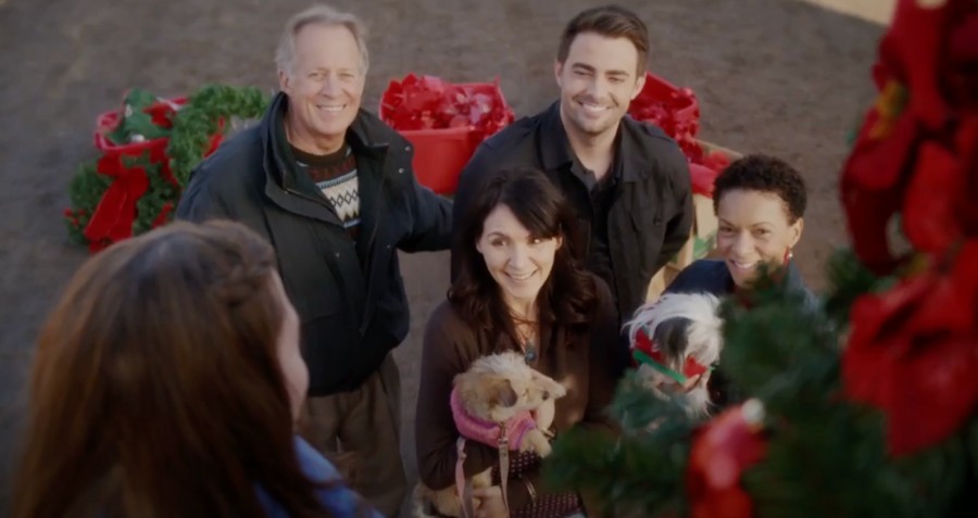 A Dog Walker's Christmas Tale