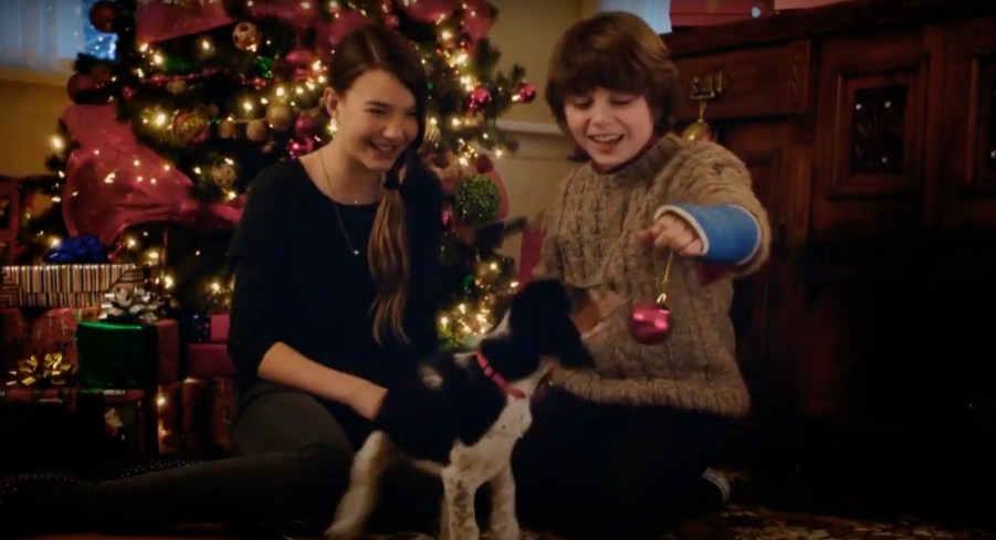dog movies for christmas
