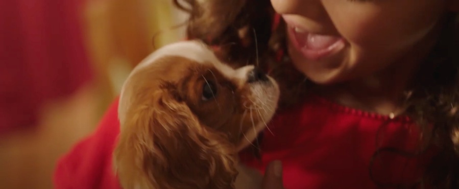 Project: Puppies for Christmas