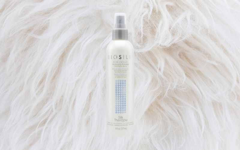 best dry shampoo for dogs