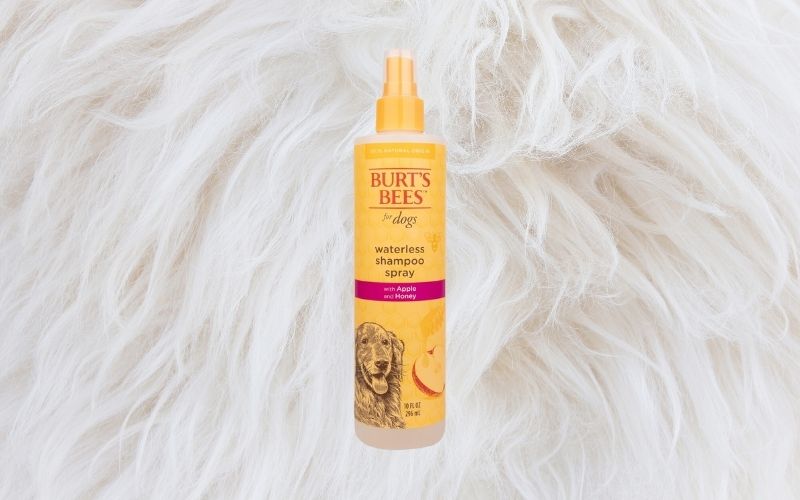 waterless shampoo for dogs