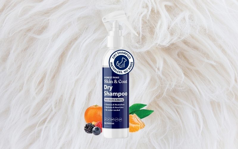 Honest Paws Dog Dry Shampoo