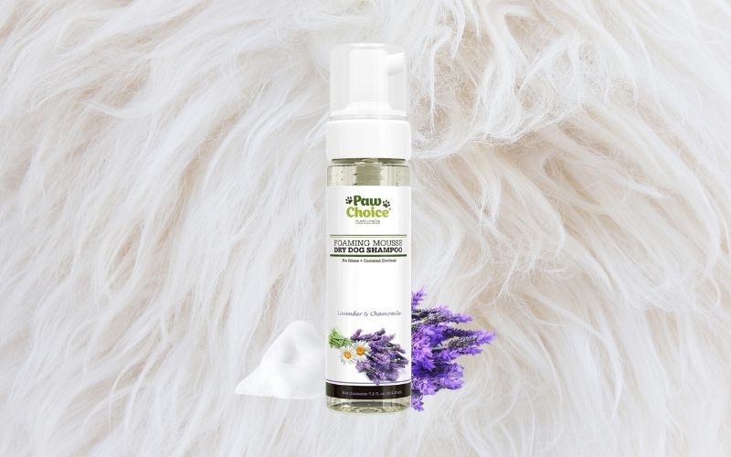 best waterless shampoo for dogs