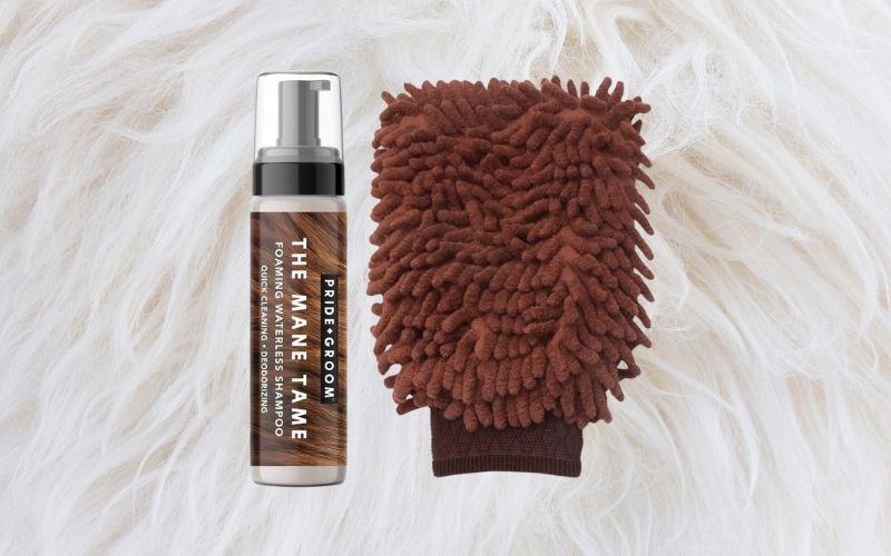 best waterless pet shampoos for dogs