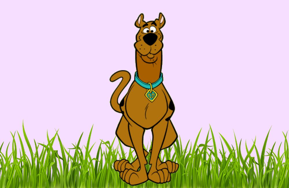 what kind of dog is Scooby Doo