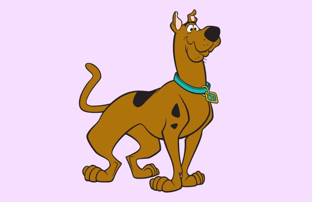 what kind of dog is Scooby Doo